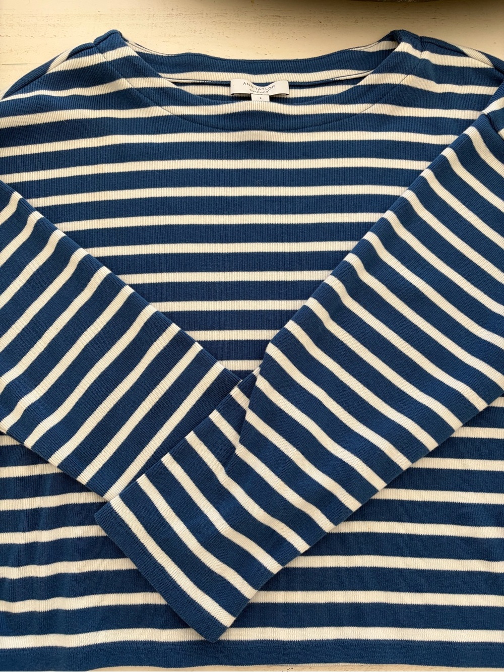 Ann Taylor Blue and White Striped Long Sleeve Tee